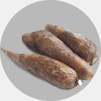 Cassava (Maniokk)