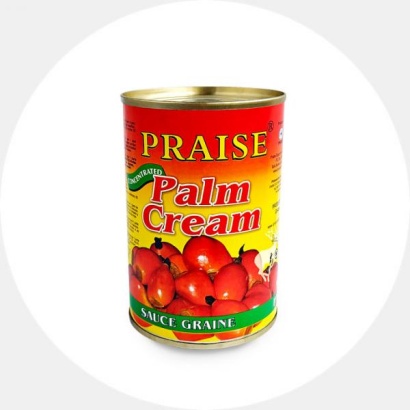 507-507_65b7c5b72ac701.68652321_praise-palm-cream-palmikreem-400g_large.jpg